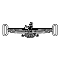 A300